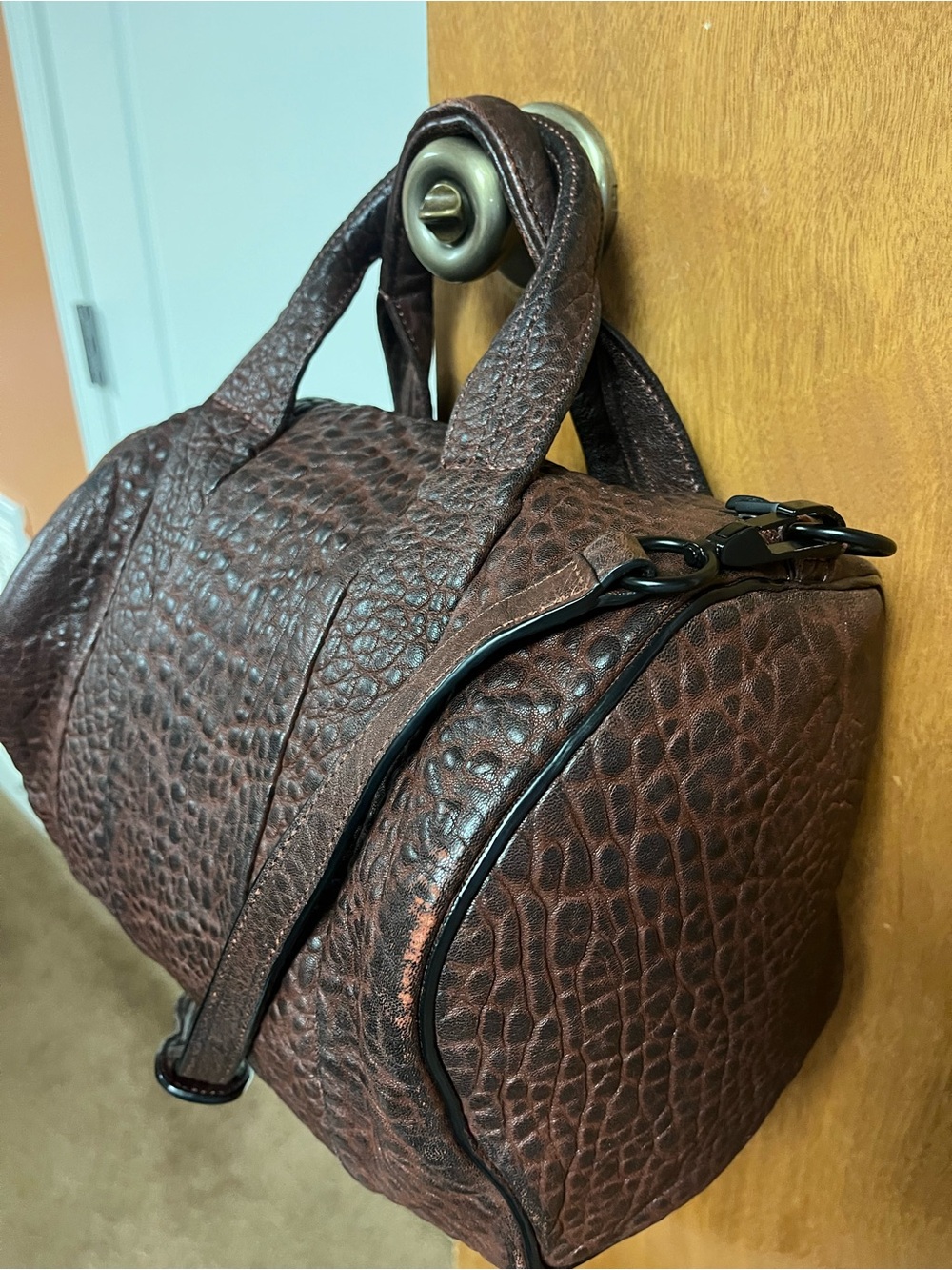 Authentic Alexander Wang Raisin Black Hardware - Picture 3 of 12